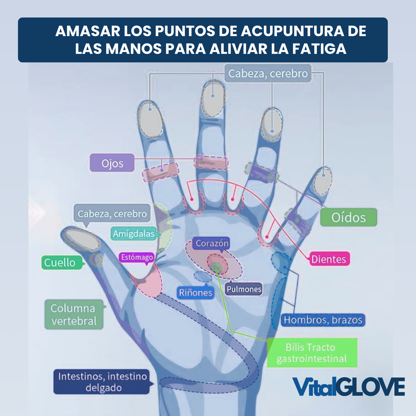 VitalGlove™ Masajeador de Calor para Manos Radiantes